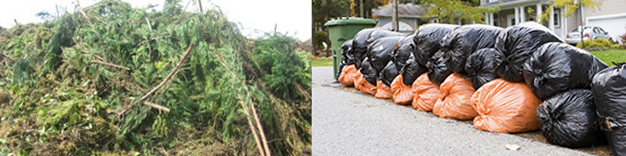 garden waste removal pretoria