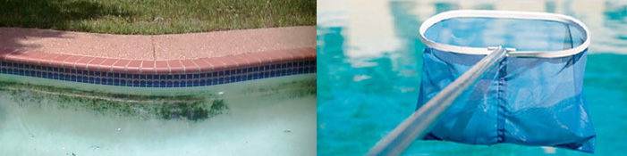 Pool Maintenance Pretoria