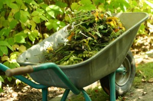 Pretoria Central West garden services